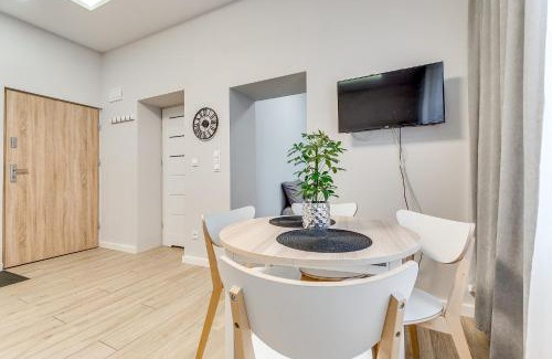 Rybnik Apartment | Central Platinum Apartments 7