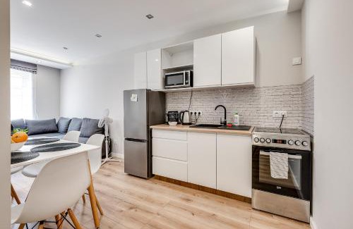Rybnik Apartment | Central Platinum Apartments 15