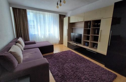 Piatra Neamt Apartment | Central Residence
