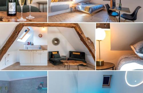 Rouen City Centre Apartment | Centre-ville le nid d'amour jacuzzi appartement
