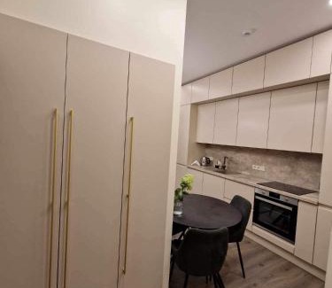 Panevezys Apartment | Centro apartamentai