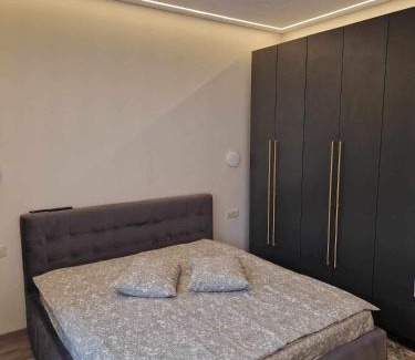 Panevezys Apartment | Centro apartamentai