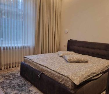Panevezys Apartment | Centro apartamentai
