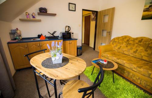 Nekor Apartment | Centrum Pastvinská přehrada