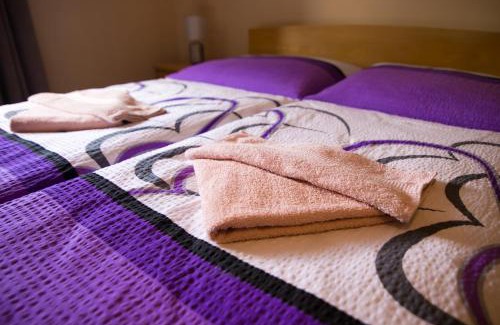 Nekor Apartment | Centrum Pastvinská přehrada