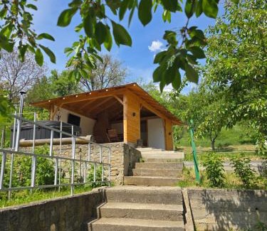 Nehoiu Villa | Cervo Mountain House