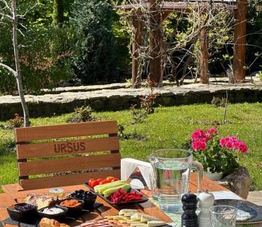 Izvoranu Hotel | Cetatuia