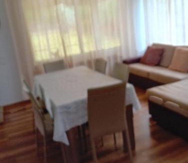 Arbore House | Cetină de brad