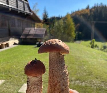 Vysoka nad Kysucov Ski Chalet | Chá