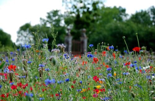 Port-d'Envaux Bed & Breakfast | Château de Panloy