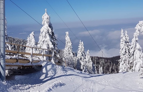 Slovenj Gradec Apartment | Chalet Snowflake IIb 20m From Ski Trail, Šmartno pri Slovenj Gradcu, Slovenia