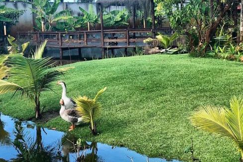 Mariricu House | Chacara - Lago Guriri