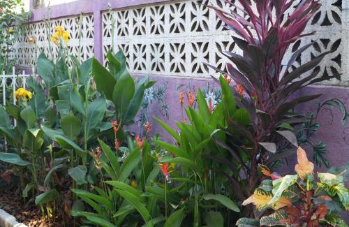 Managua House | Chakana Yoga Homestay