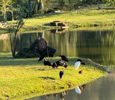 Rolante House | Chalé Celeiro em frente ao lago