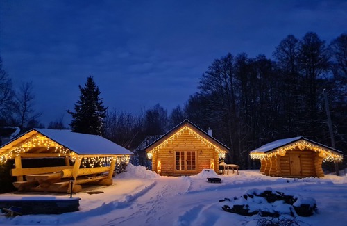 Bad Brambach Ski Chalet | Chalet am See mit Sauna !