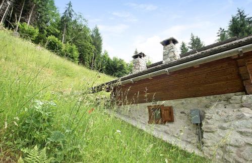 Bocenago Ski Chalet | Chalet Bio Wild