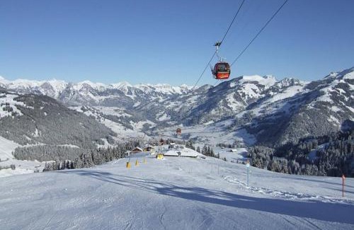 Zweisimmen Apartment | Chalet Finkenwiese