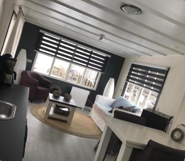 Jipsinghuizen House | Chalet Het Wollinghuisje