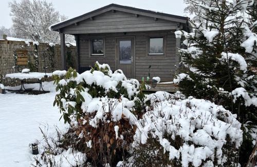 Drachtstercompagnie Ski Chalet | Chalet in het groen met airco