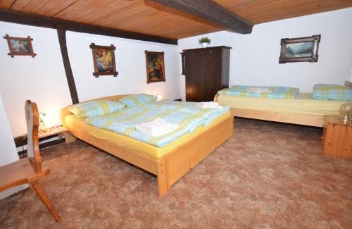 Jindrichovice House | Chalet in Ore Mountains near Ski Slopes