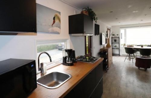 Tzummarum House | Chalet in Tzummarum near Frisian Countryside