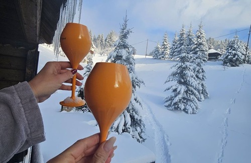 Fundata Ski Chalet | Chalet les deux freres Arhitect interior
