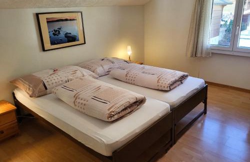 Beatenberg Apartment | Chalet Lilo 2 Zimmer top mountain view
