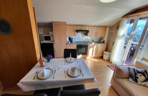 Beatenberg Apartment | Chalet Lilo 2 Zimmer top mountain view
