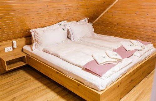Slovenska Bistrica Apartment | Chalet Liza & Rozi