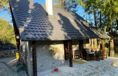 Copalnic-Manastur Ski Chalet | Chalet Pia