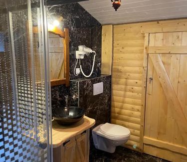 Vatra Dornei House | Chalet Poligon