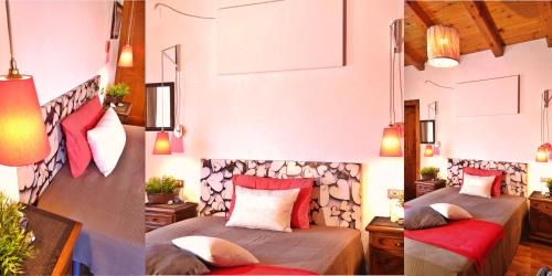Castellciutat Bed & Breakfast | Chalet "Rec dels Noguers"