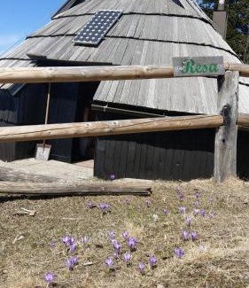 Kamnik Ski Chalet | Chalet Resa - Velika planina