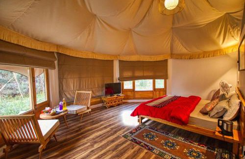 Hundur Other | Chalet Seabuckthorn - Hunder
