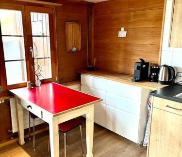 Adelboden Apartment | Chalet Sonnenheim, Wohnung mit Panoramafenster