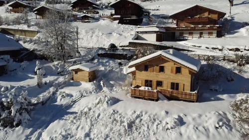 Barboleusaz Ski Chalet | Chalet Villars-Gryon 8pax Cosy