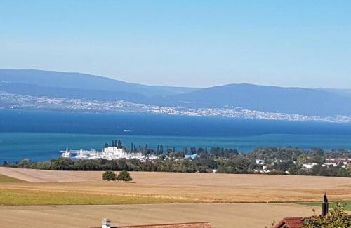 Chatillon House | Chalet with Stunning Lake and Mountain Views avec une vue à couper le souffle, une spacieuse terrasse et jardin