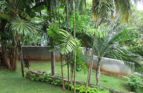 Anse Royale Apartment | Chalets Bougainville