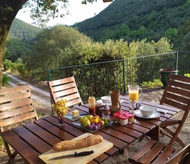 Cros Bed & Breakfast | Chambre Cévennes: Piscine, lamas, rivière