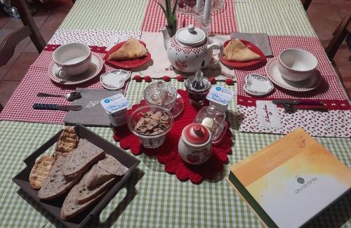 Carmaux Bed & Breakfast | Chambre d'hôte Amitié et Jardin