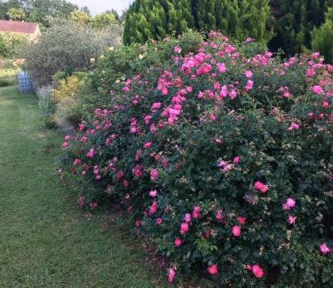 Saint-Martial-de-Valette Bed & Breakfast | Chambre d'hôtes Le clos de Rapevache