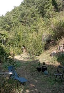 Auriac Bed & Breakfast | Chambres d'hôtes Las Carbounieros