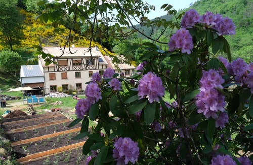 Rombach-le-Franc Apartment | Chamois Cottage