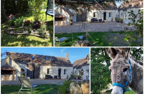 Saint-Nicolas-des-Motets House | Charmant gîte rural avec jardin, proche Amboise et Blois, idéal pour familles, randonneurs et amoureux de nature - FR-1-381-145