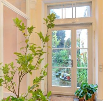 Rhodt unter Rietburg Apartment | Charmante Altbauwohnung mit Gartenblick