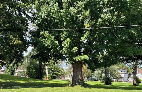 Utica Apartment | Charming 1-bedroom apartment in terrific Utica with AC, WiFi
