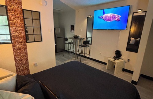 Deco Apartment | Charming 1-bedroom Studio apartment in fabulous Houston with fitness room, WiFi