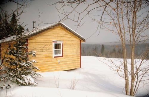 Green Mountains Cabin | Charming 1-bedroom Tiny house in Eden Mills. Spectacular views, private setting.