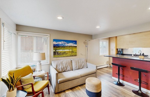 North Star House | Charming 1BR w/pull-out sofa and smart TV - dog friendly