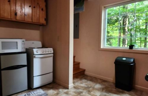 Altmar Cabin | Charming 2 bedroom 1 bath brand new cabin near lake for entire family